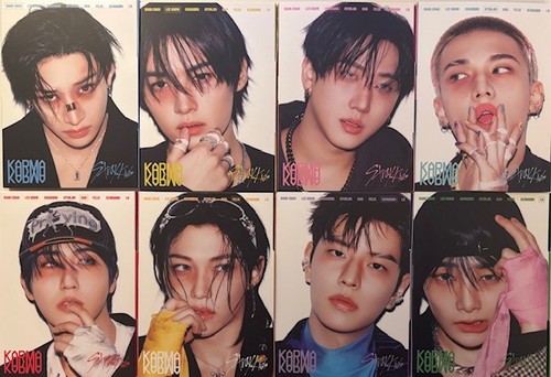 Stray kids karma skz - stray,